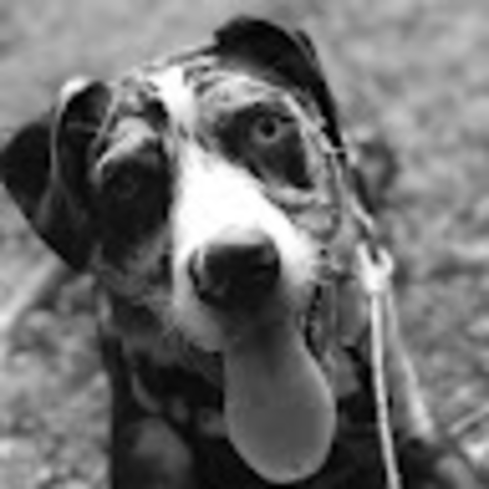 Meet your Posher, Katherine